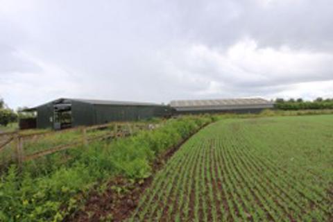 Property for sale, 1.83ac with Two Large Portal Framed Sheds, Muirdrum by Carnoustie, Angus, DD7 6JX