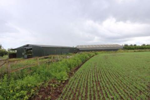 undefined, 1.83ac with Two Large Portal Framed Sheds, Muirdrum by Carnoustie, Angus, DD7 6JX