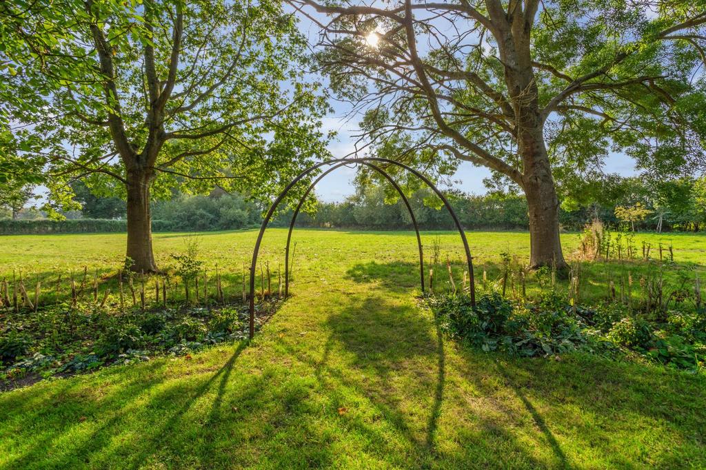 Garden &amp; Meadow