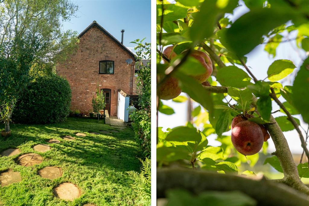 Back Garden &amp; Apple Tree