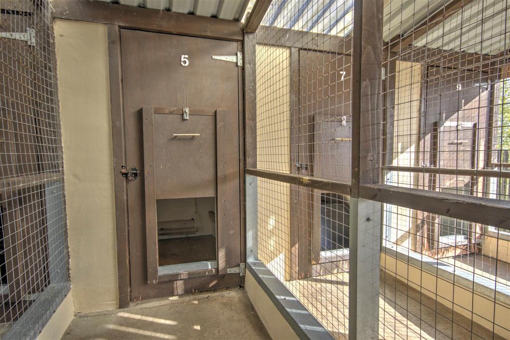 Kennel