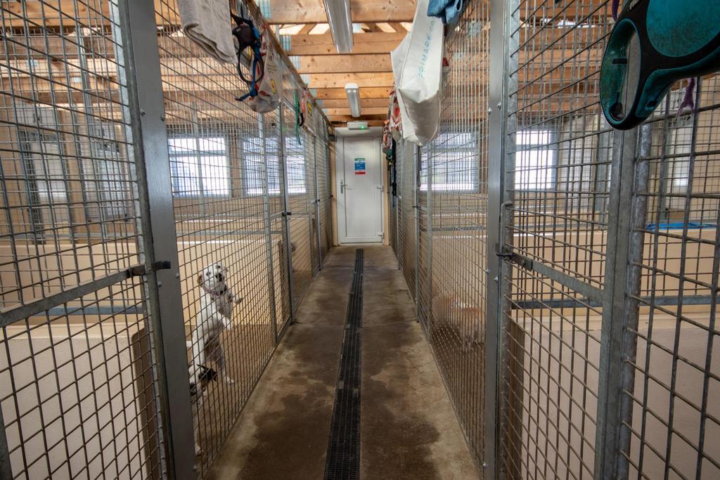 Kennels