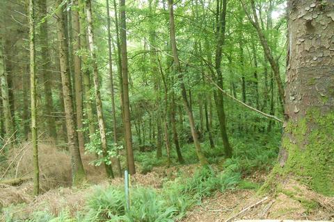 undefined, Lyme Road, Uplyme, Axminster