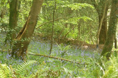 undefined, Lyme Road, Uplyme, Axminster