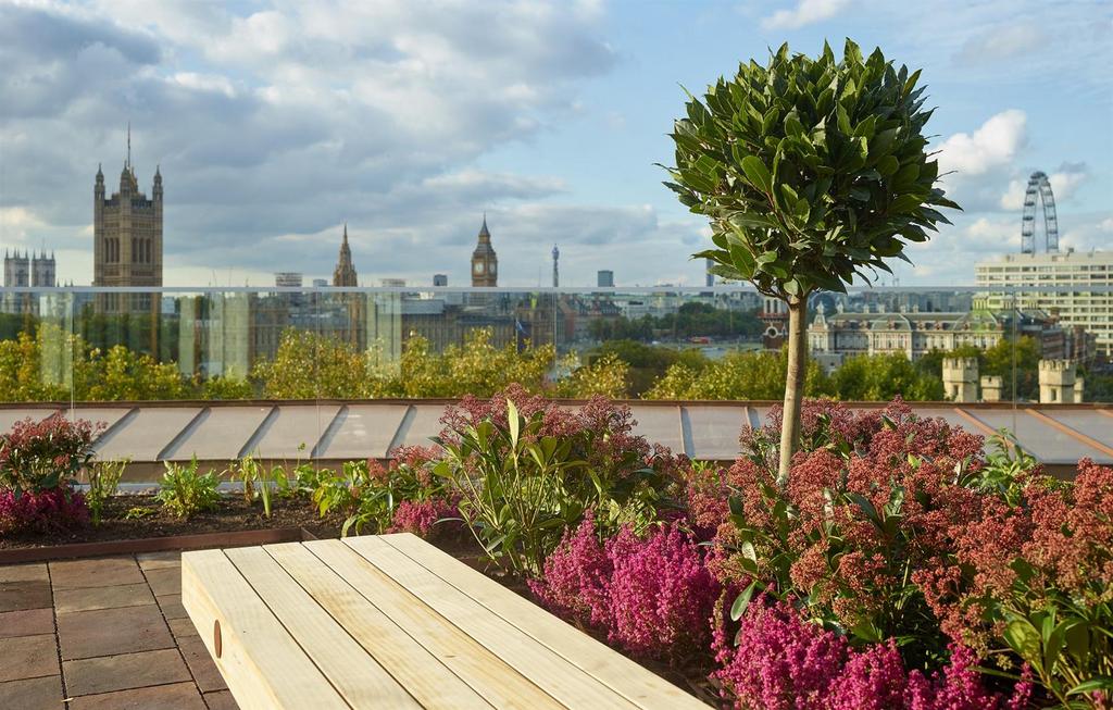 Roof Terrace 2.jpg