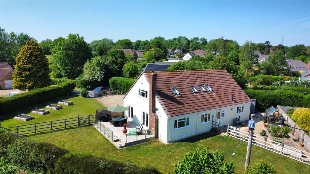 Picture 8