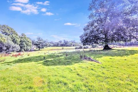 Land for sale, Exbourne, Okehampton, Devon, EX20 3RA