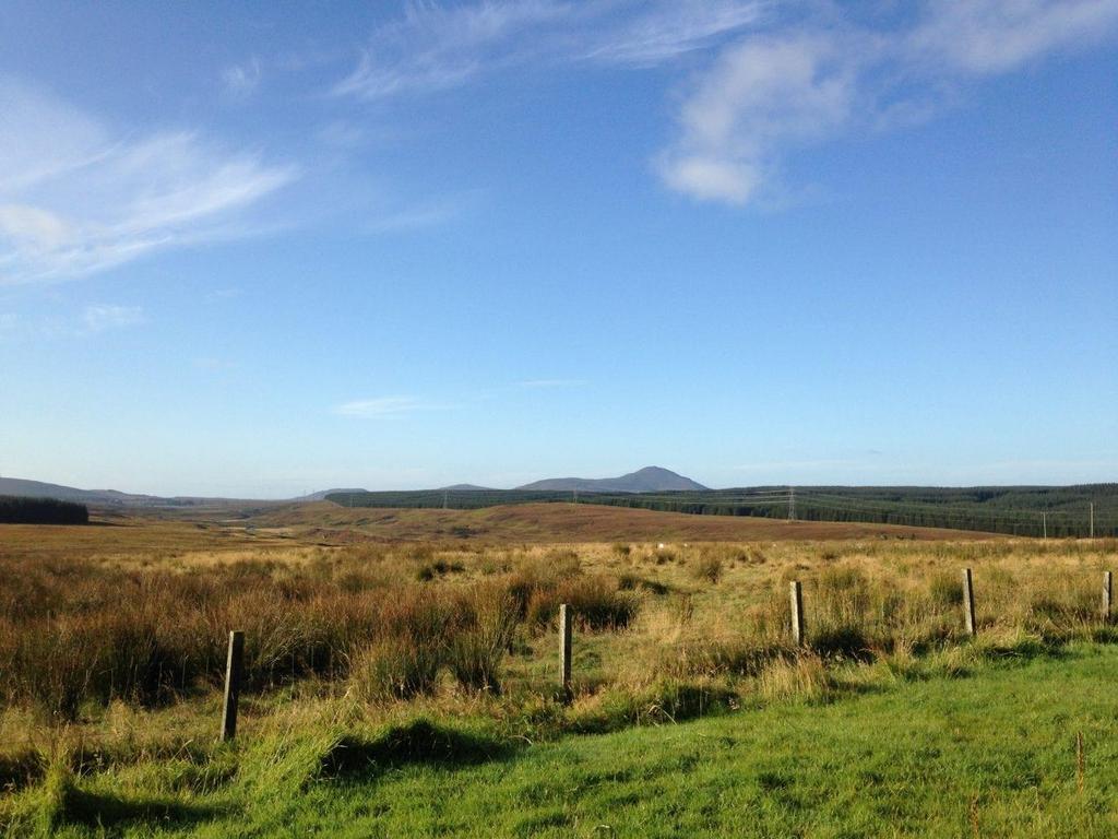 View from driveway