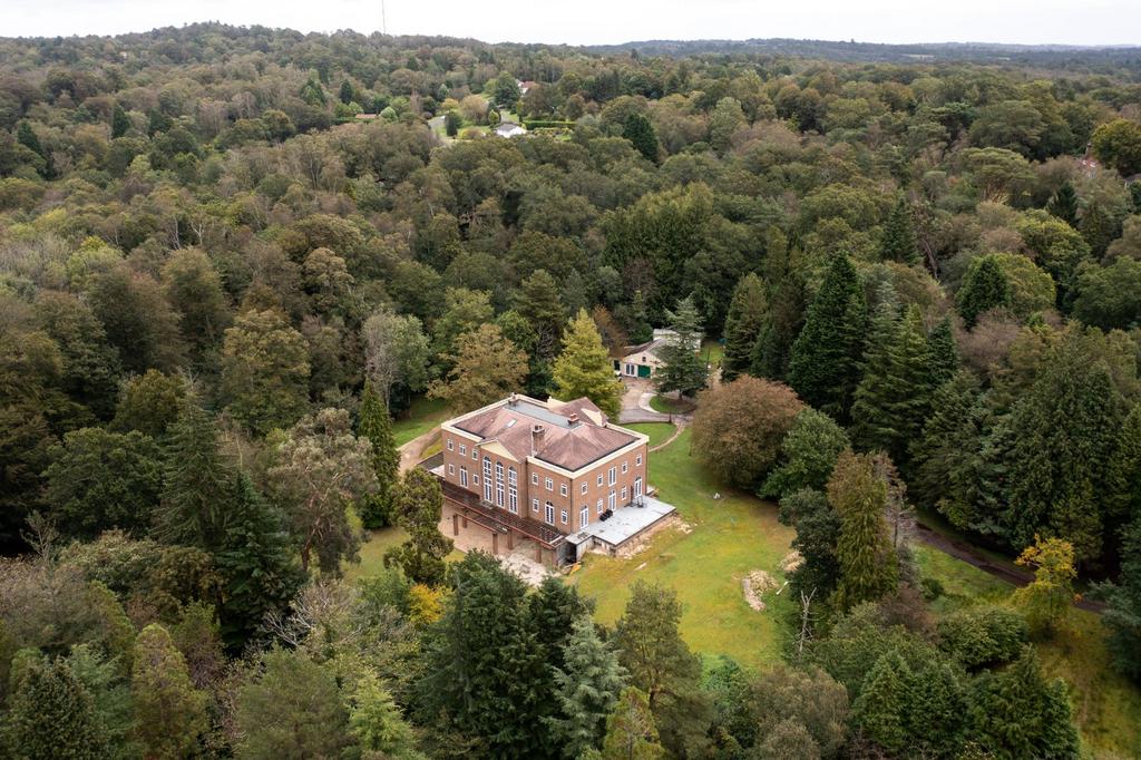 The Dinglewood
