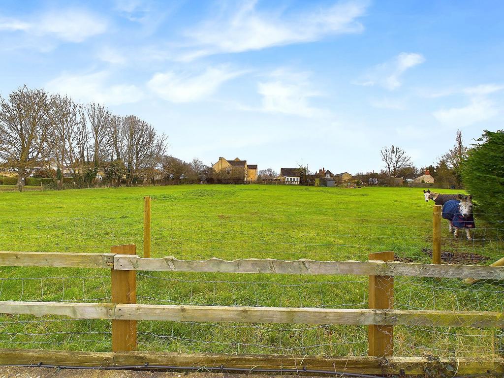 View from the rear garden