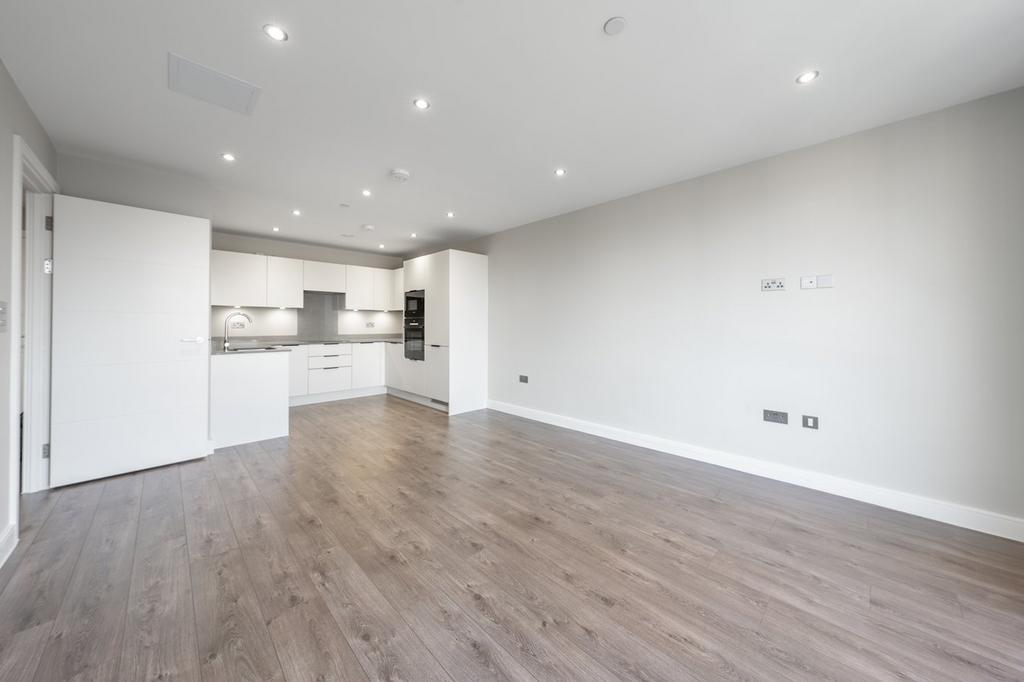 Open Plan Reception Room/Kitchen