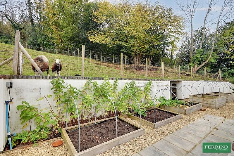 Vegetable Garden