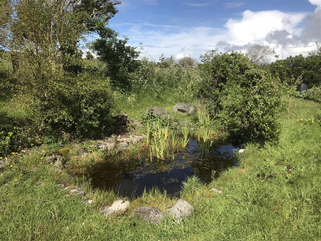 Pond in Spring