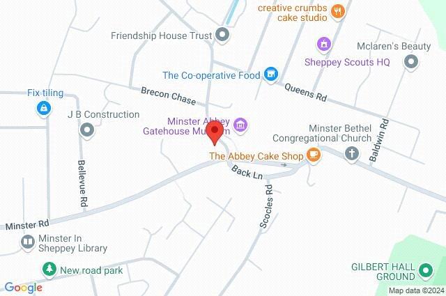 Google Maps Image