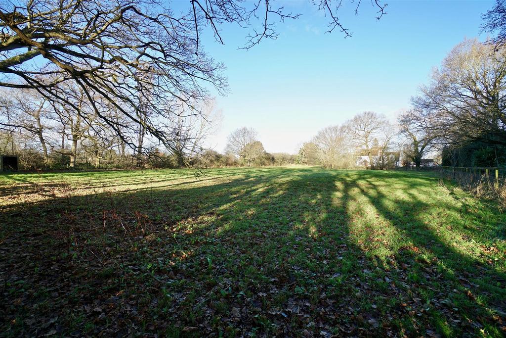 Front garden/paddocks
