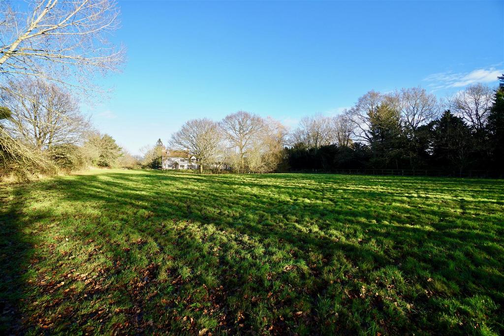 Front garden/paddocks
