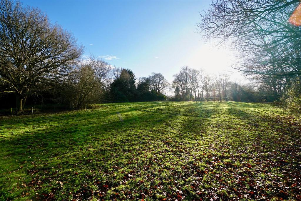 Front garden/paddocks