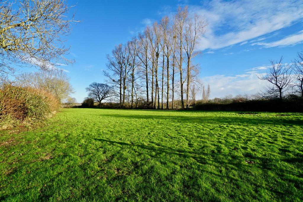 Back garden/paddocks