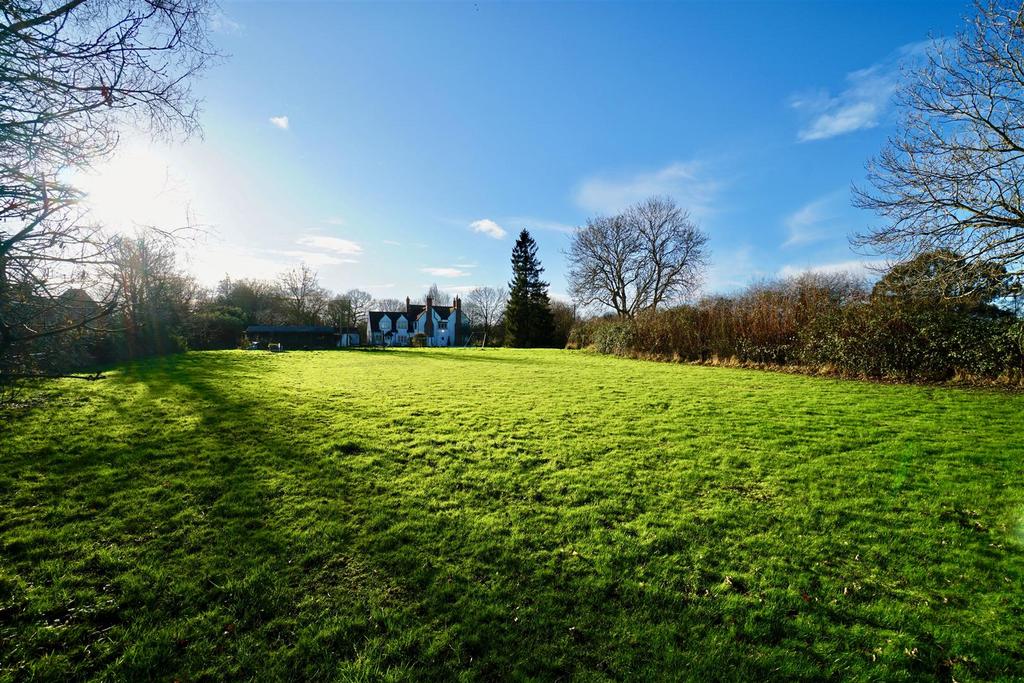Back garden/paddocks