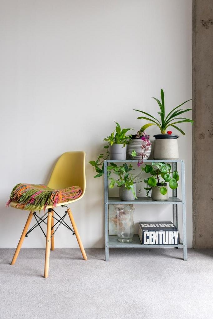 2 L1 S0 BH - Reception K.jpg