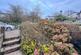 Chapel Row, Newlyn TR20 photo 5
