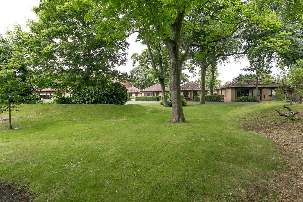 Communal Garden