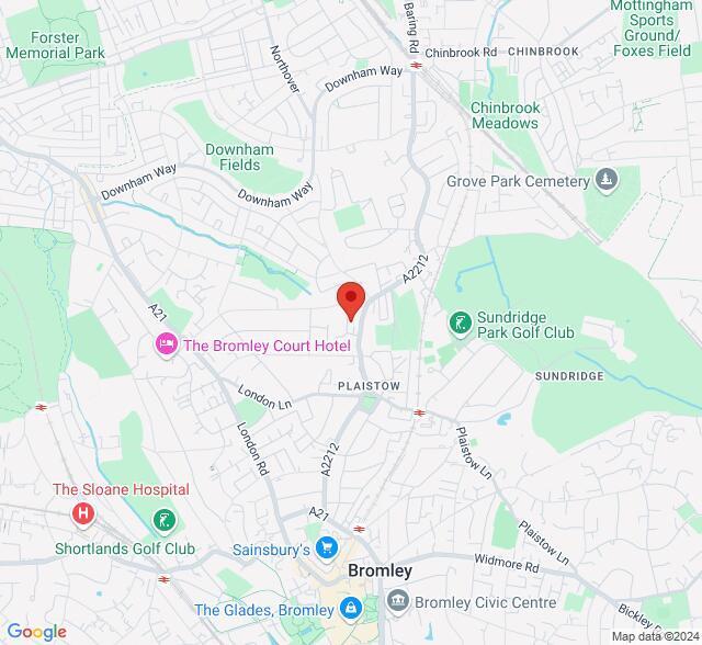 Google Maps Image