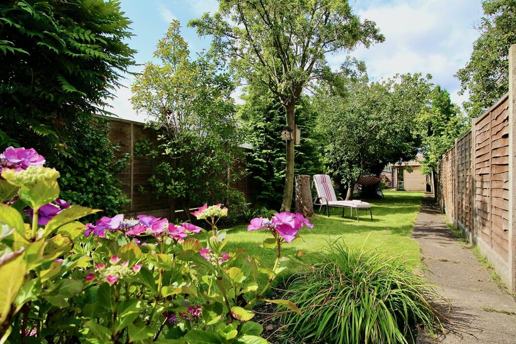 Springtime Rear Garden