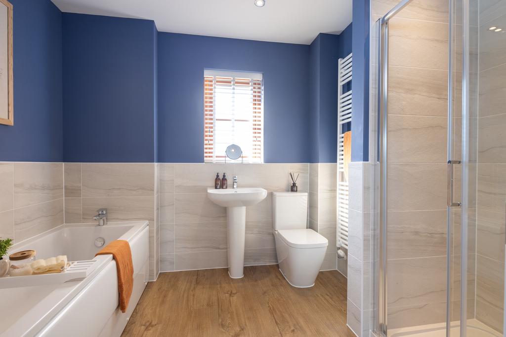 Internal shot of the main bathroom in the conwy...