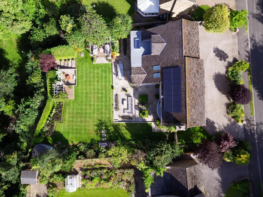 00045.jpg