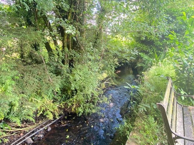 Dulais204.jpg
