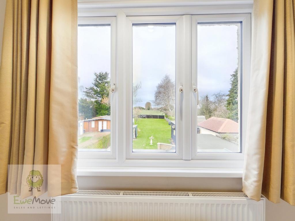 View From The Back Bedroom