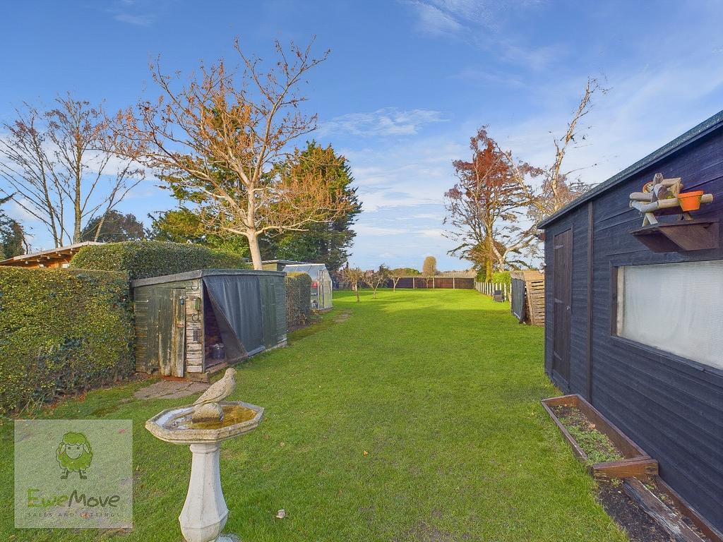 Back Garden