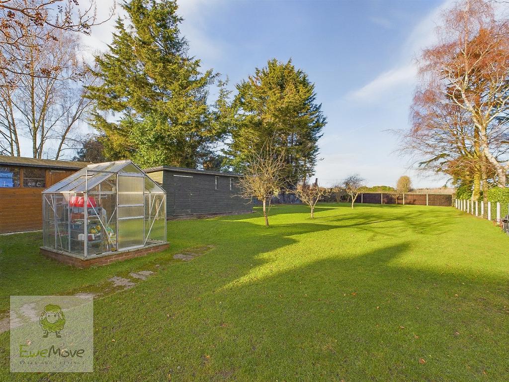 Back Garden