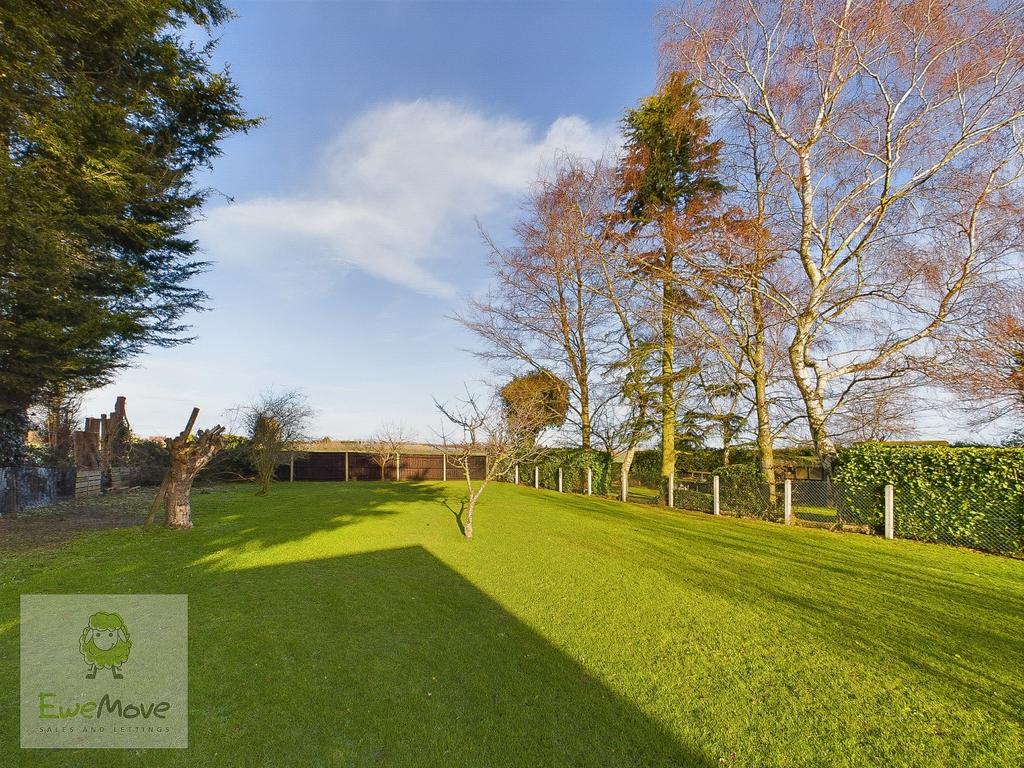 Back Garden