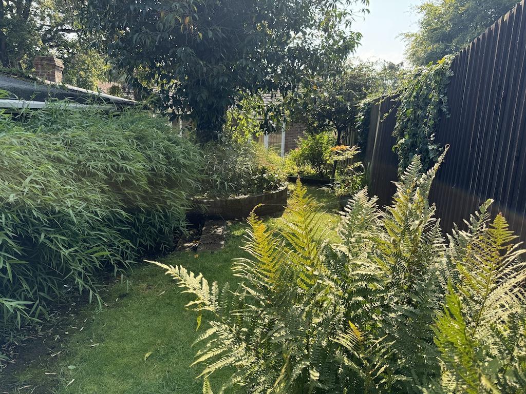 22   Rear Garden .jpg