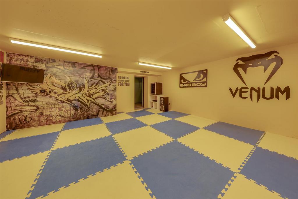 Gym / Play Room
