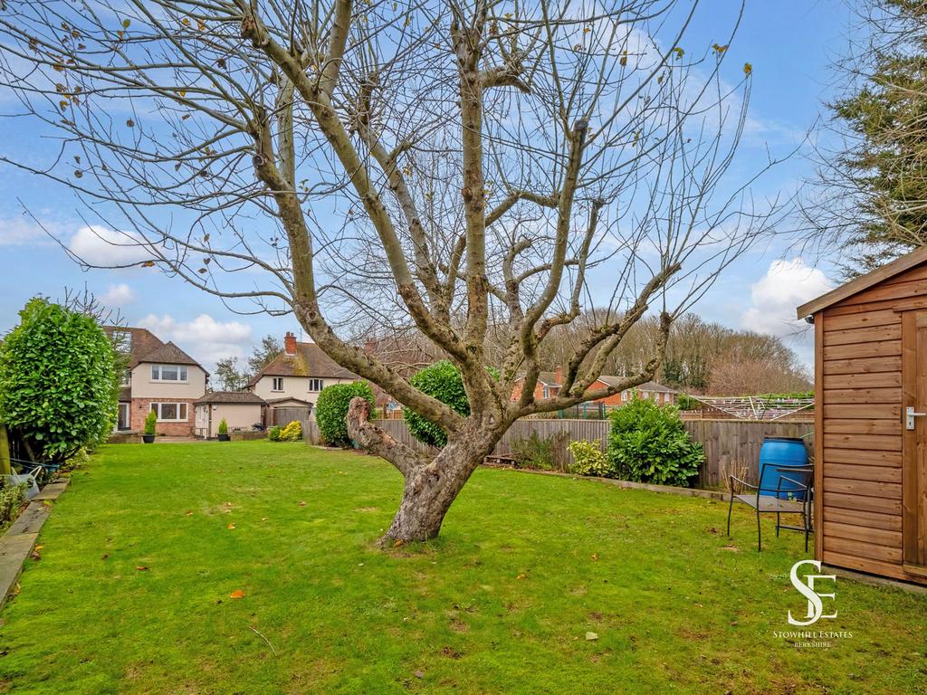 Garden with apple tree