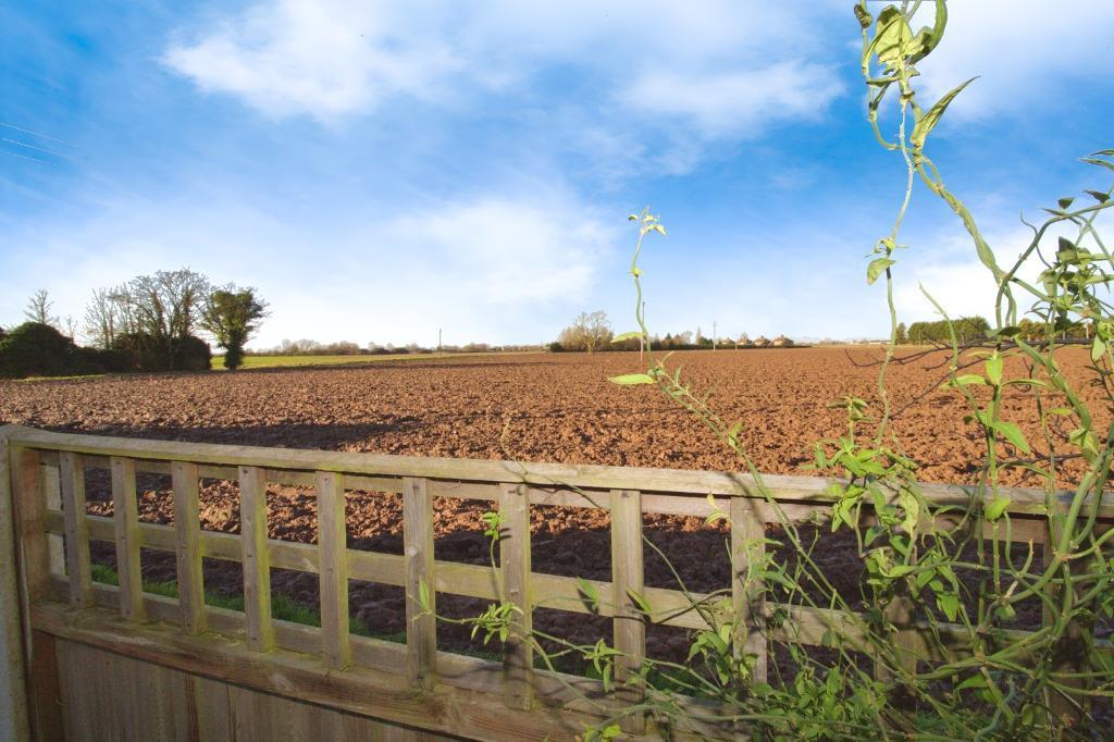 Field views