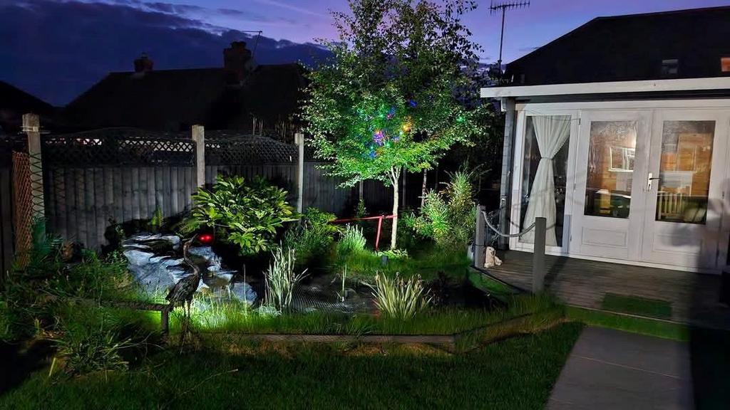 Garden Night Shot.jpg