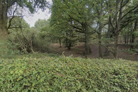 Land for sale, Goatham Lane, Rye, Broad Oak TN31