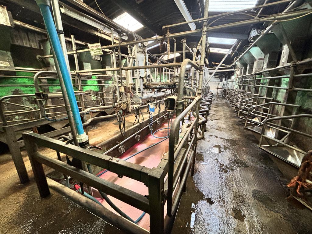 Modern 225 Cubicle Dairy Cow Complex