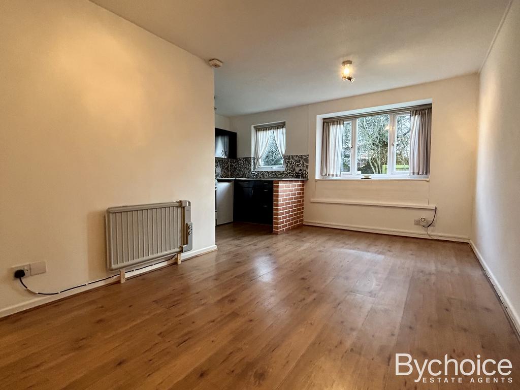 Living Room/Bedroom