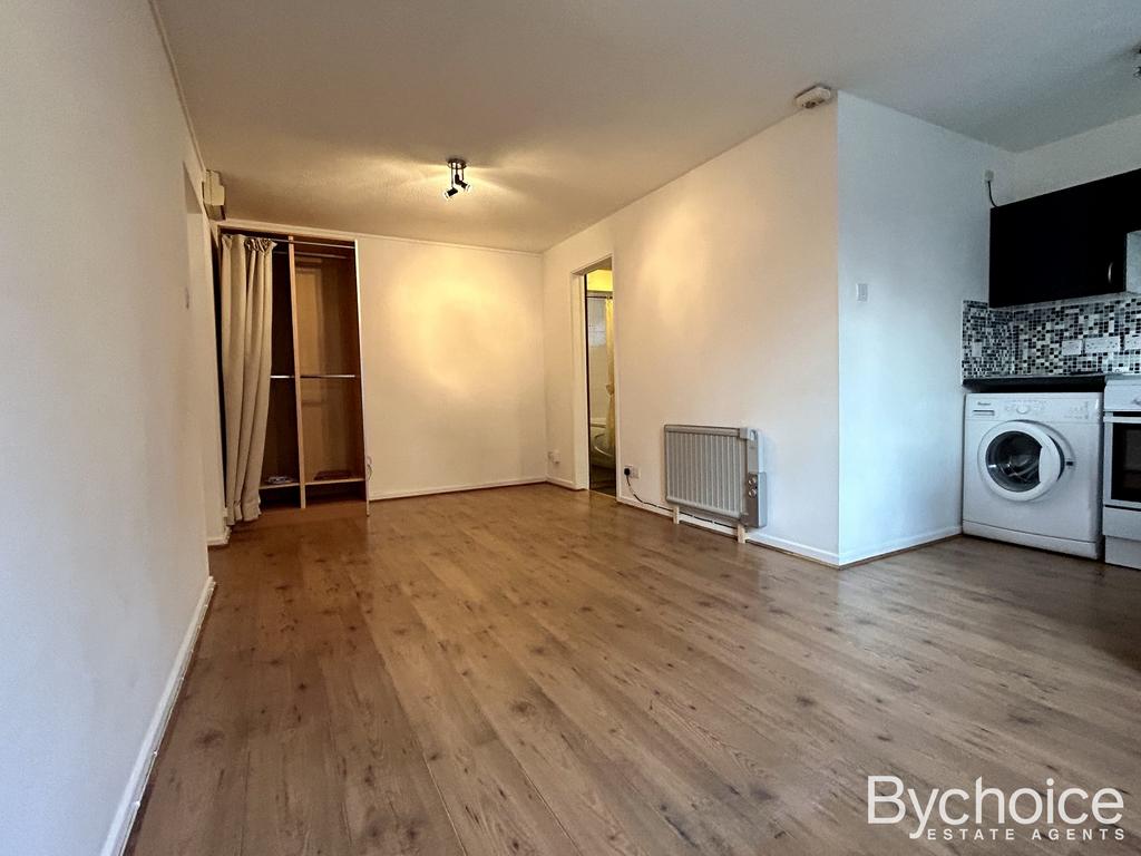 Living Room/Bedroom