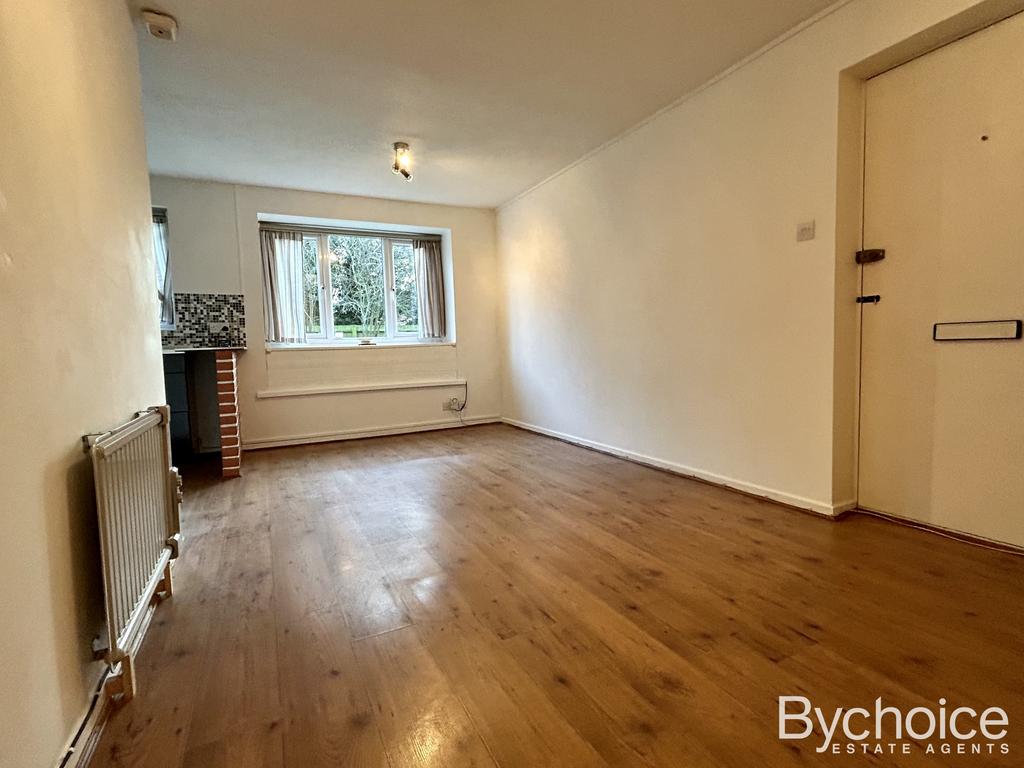 Living Room/Bedroom