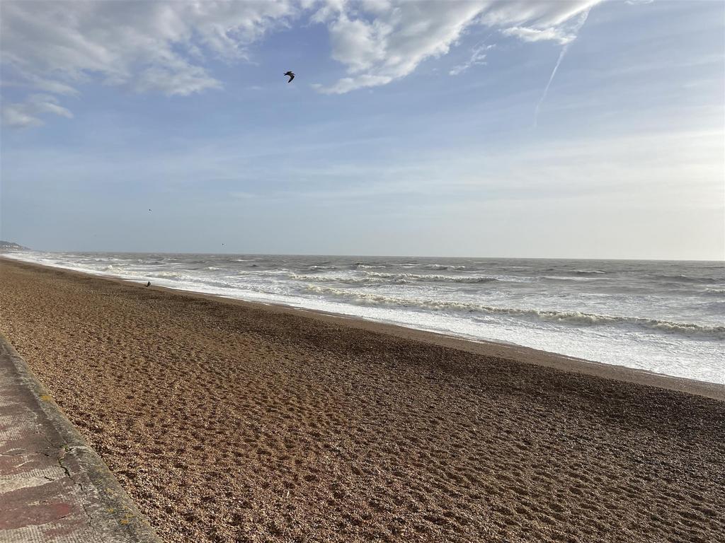 Local Beach