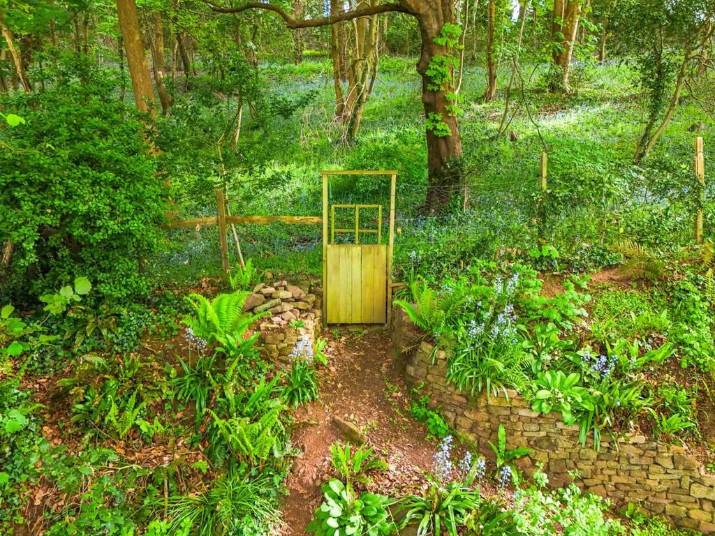 Gate To Woods