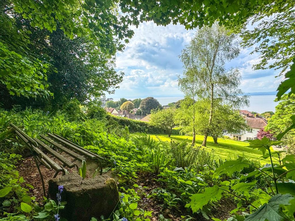 Bench With A View