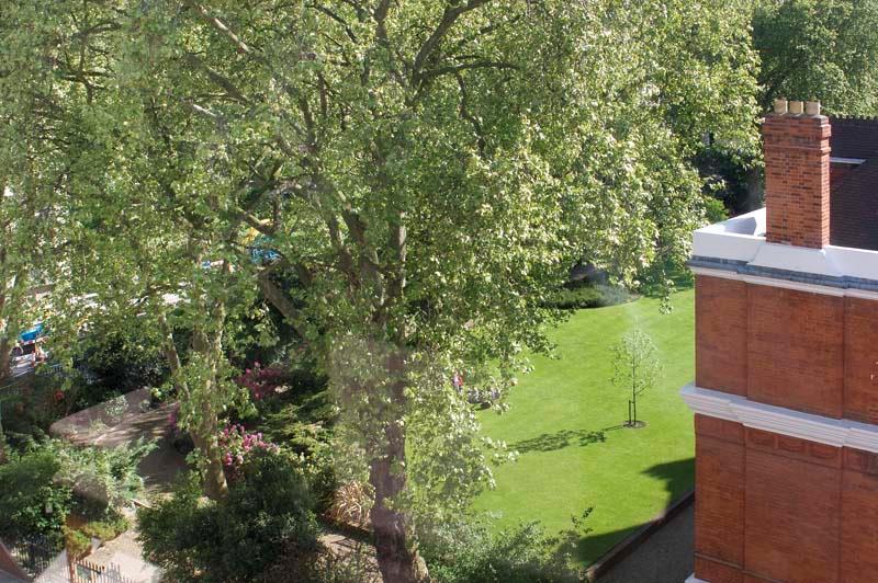 Communal gardens