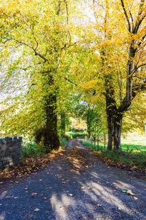 4 bedroom property with land for sale, Abergwesyn Road , Tregaron, SY25